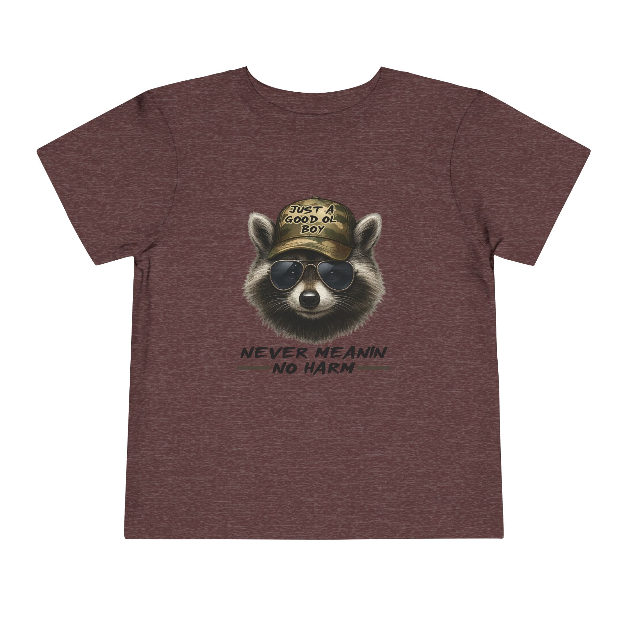 Toddler Tee - Raccoon with Hat "Never Meanin No Harm" Kids Graphic Shirt