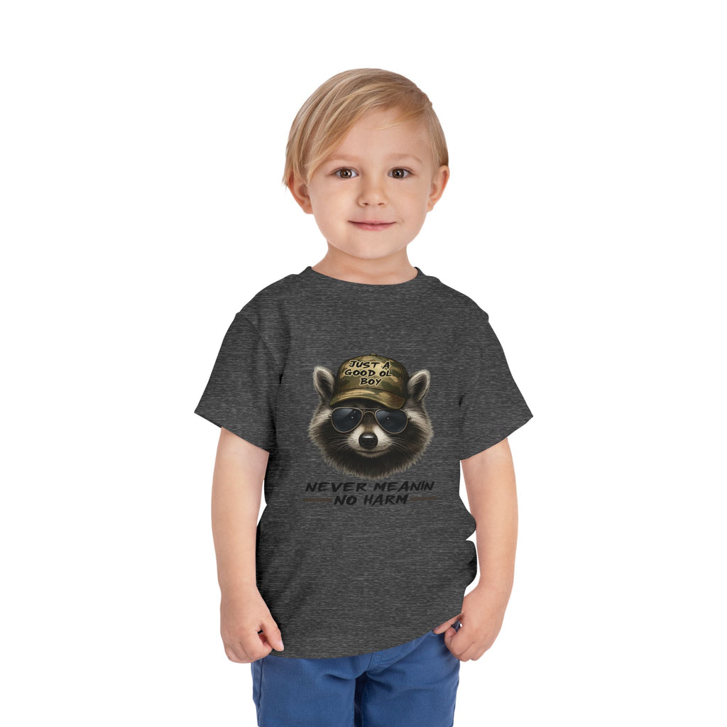 Toddler Tee - Raccoon with Hat "Never Meanin No Harm" Kids Graphic Shirt