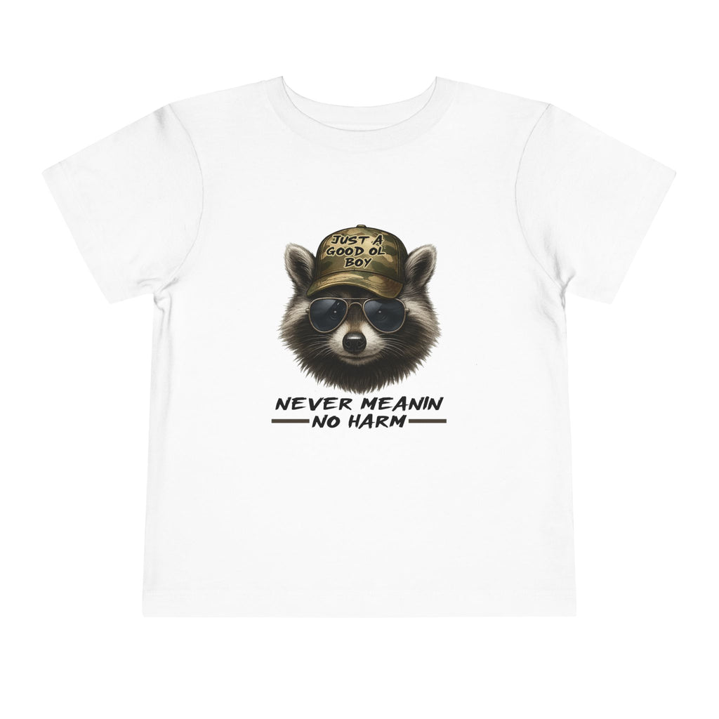Toddler Tee - Raccoon with Hat "Never Meanin No Harm" Kids Graphic Shirt