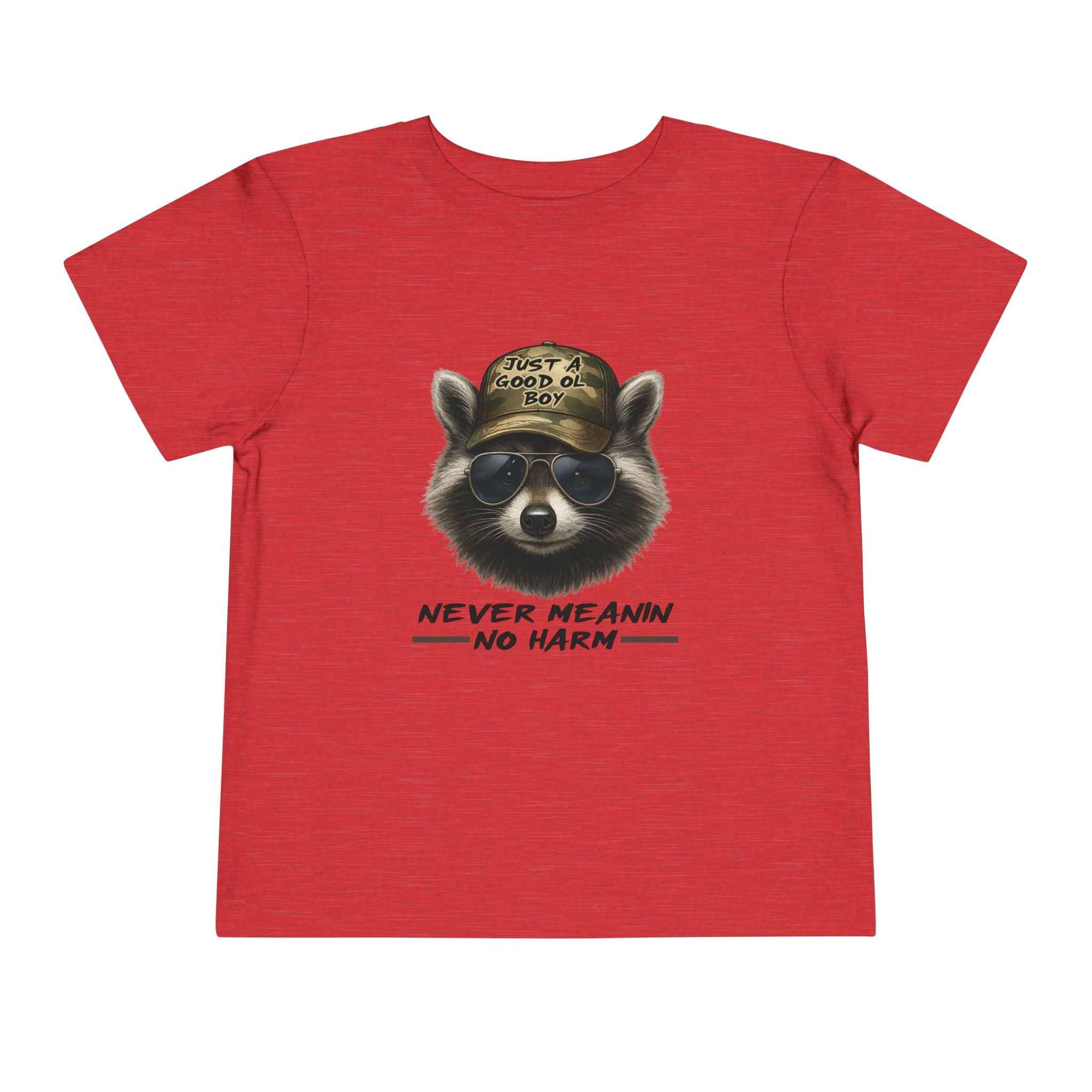 Toddler Tee - Raccoon with Hat "Never Meanin No Harm" Kids Graphic Shirt