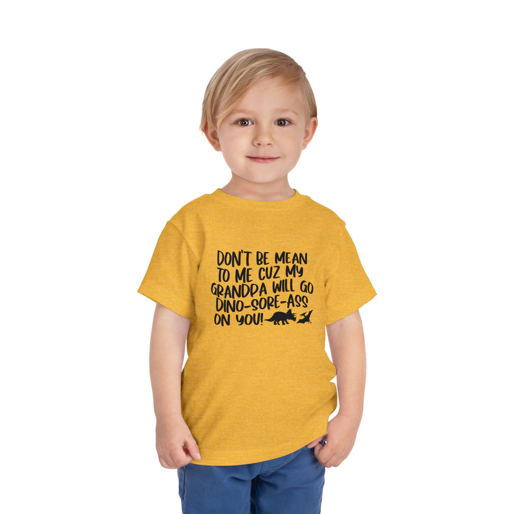 Toddler Tee - "Don't Be Mean to Me Cuz My Grandpa Will Go Dino-sore-ass on You"
