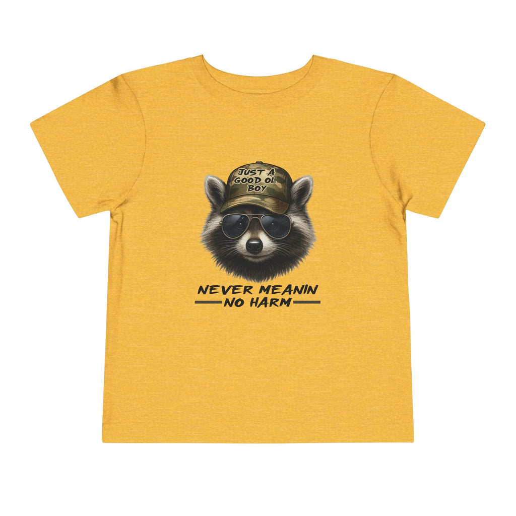 Toddler Tee - Raccoon with Hat "Never Meanin No Harm" Kids Graphic Shirt