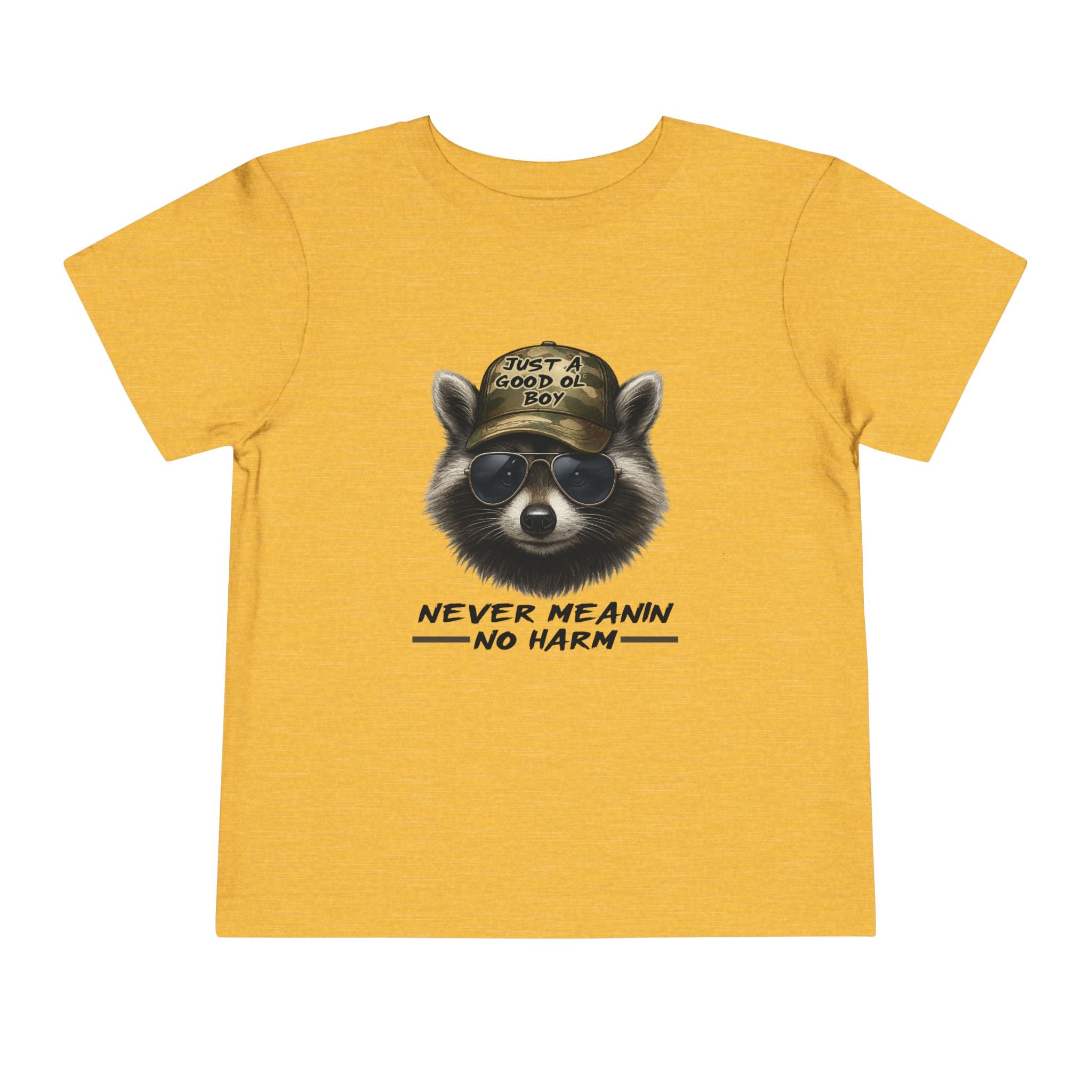 Toddler Tee - Raccoon with Hat "Never Meanin No Harm" Kids Graphic Shirt