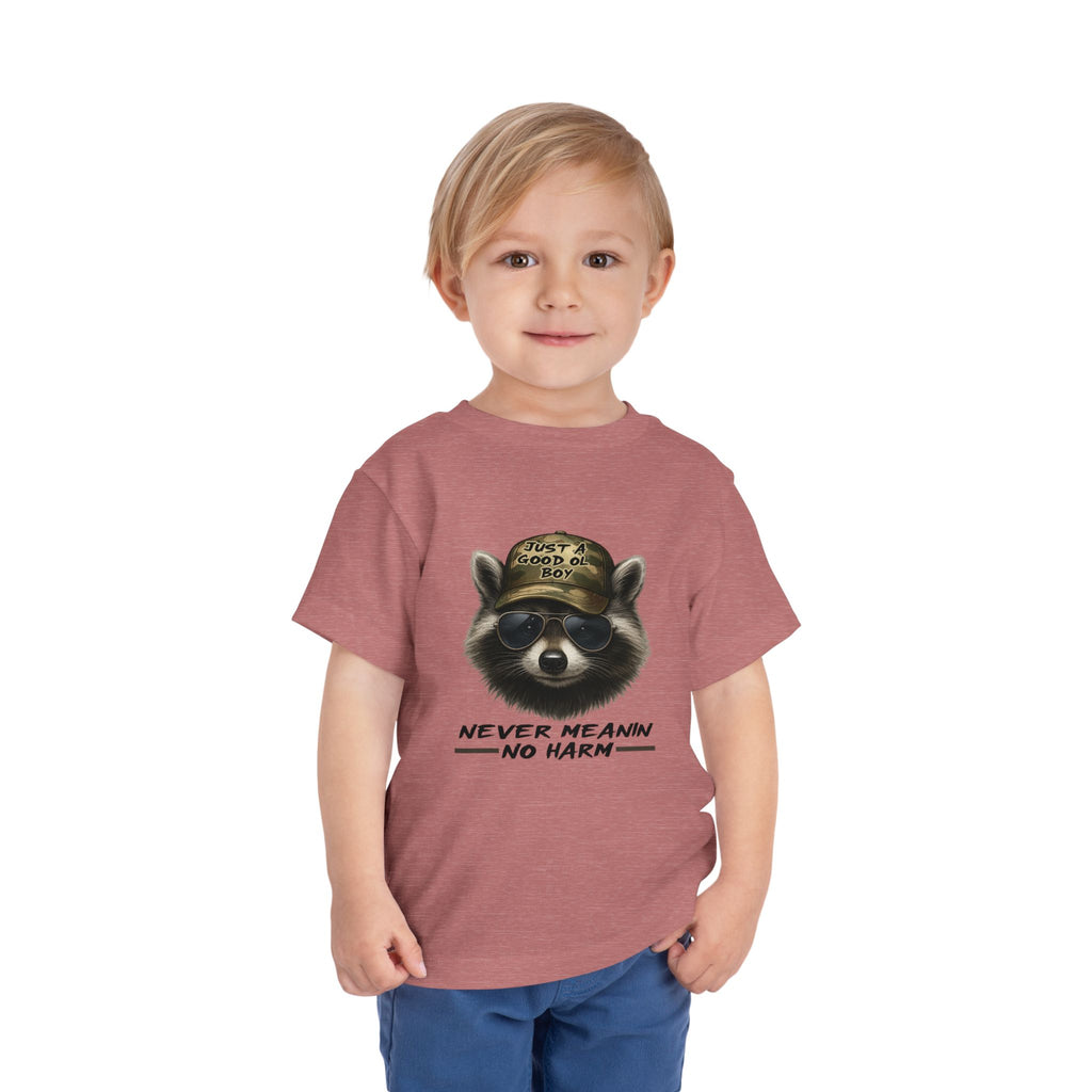 Toddler Tee - Raccoon with Hat "Never Meanin No Harm" Kids Graphic Shirt