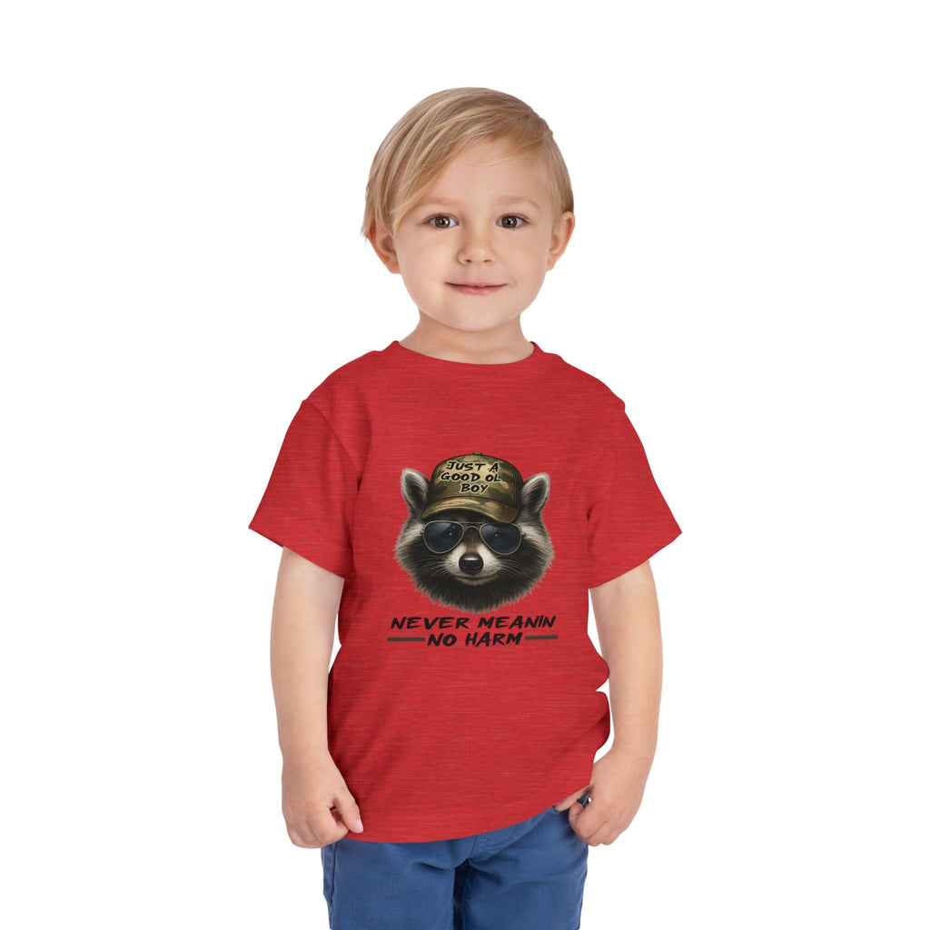 Toddler Tee - Raccoon with Hat "Never Meanin No Harm" Kids Graphic Shirt