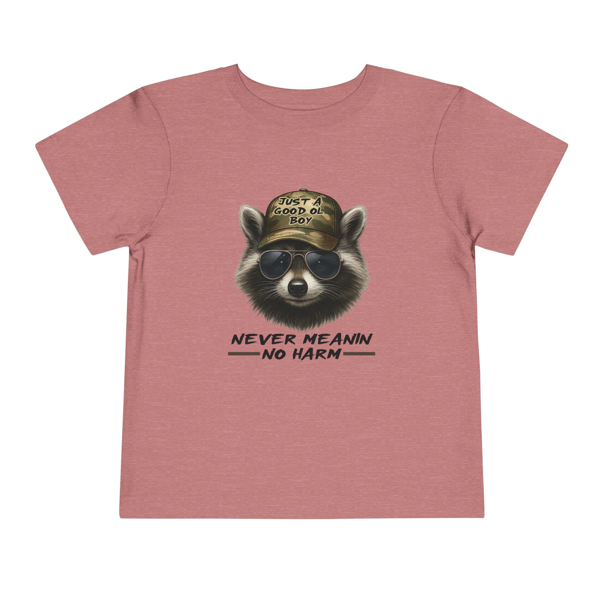 Toddler Tee - Raccoon with Hat "Never Meanin No Harm" Kids Graphic Shirt